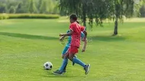 kaiyun·开云（中国）