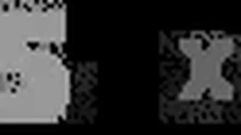 尼足協宣布世界杯出局后正式解除国家队教练团队职务